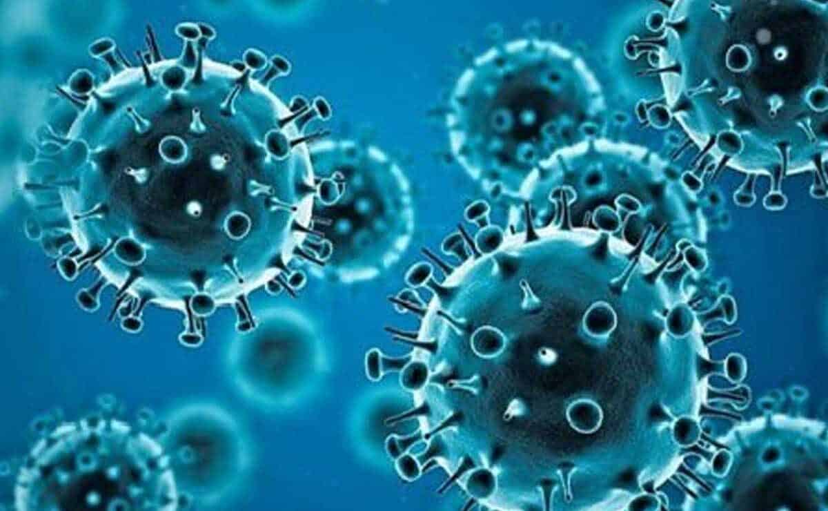 Andhra Pradesh Reports Fresh COVID-19 Case from Nandyal District