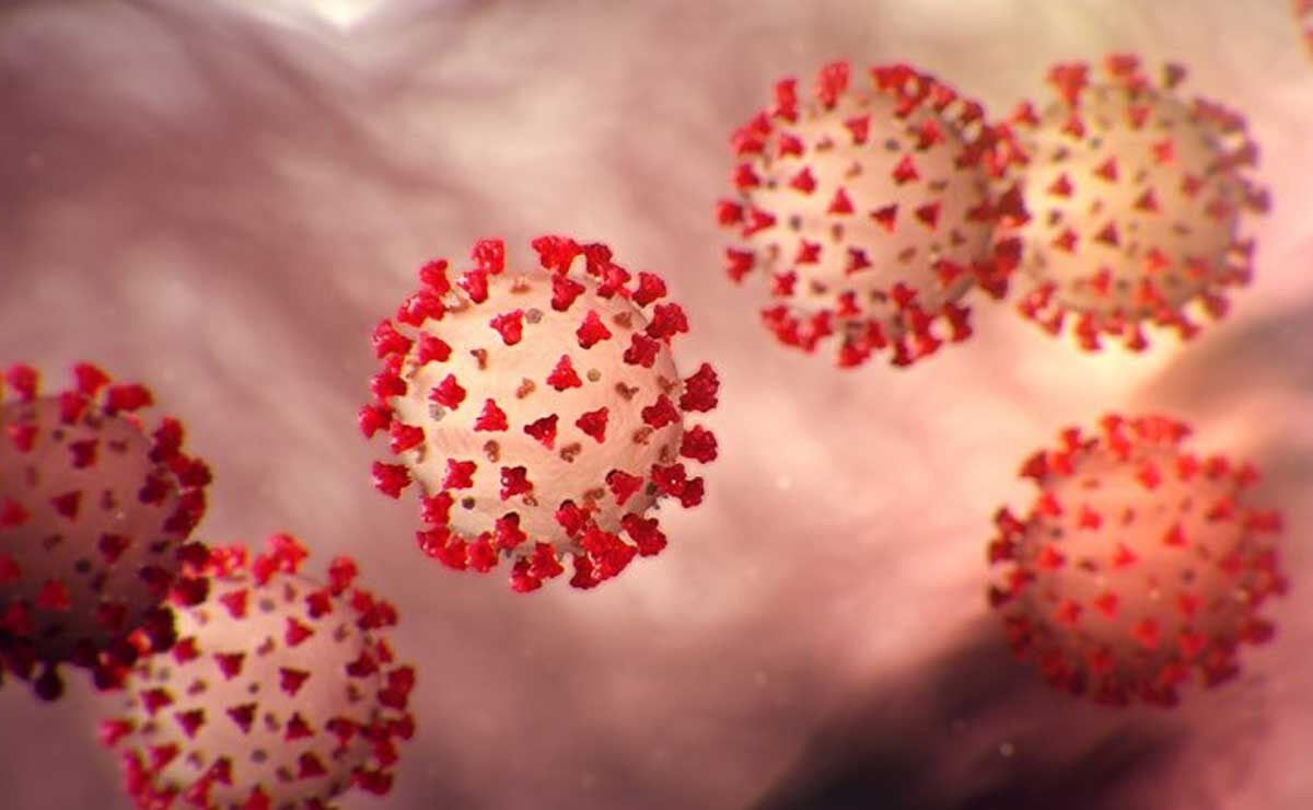Maharashtra COVID Update: 21-Year-Old Dies Amid Rising Infections, Marks Fourth Death This Week