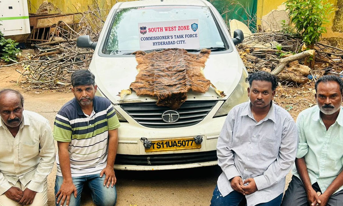 Hyderabad Police Bust Fake Tiger Skin Racket, Four Arrested 1 Hyderabad Police Bust Fake Tiger Skin Racket, Four Arrested