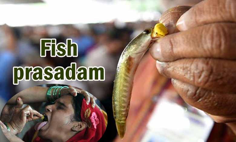 Hyderabad: Fish Prasadam Distribution to Begin on June 8 at Nampally