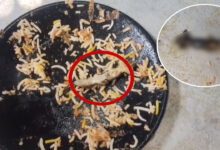 Lizard Found in Chicken Biryani at AR MEHFIL Family Restaurant in Ibrahimpatnam, Triggers Outrage 2 Lizard Found in Chicken Biryani at AR MEHFIL Family Restaurant in Ibrahimpatnam, Triggers Outrage