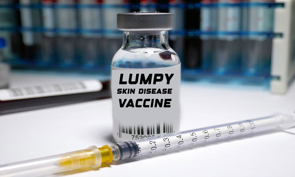 Bharat Biotech Subsidiary Biovet Launches Indigenous Vaccine for Lumpy Skin Disease 1 Bharat Biotech Subsidiary Biovet Launches Indigenous Vaccine for Lumpy Skin Disease