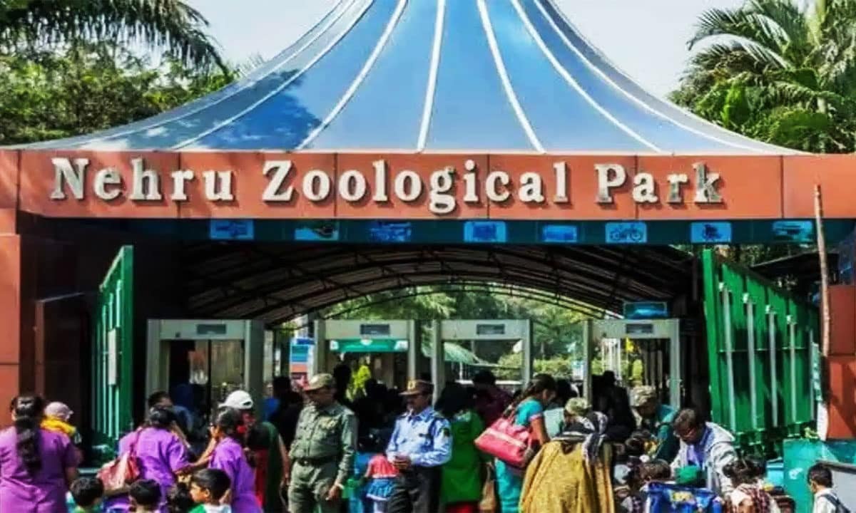 Nehru Zoo Park Draws 24,000 Visitors in a Day Amid Summer Holiday Rushes