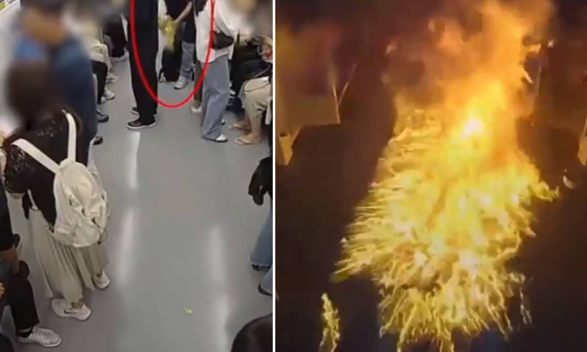 Metro Horror: Man Pours Petrol, Ignites Fire in Packed Train Over Marital Dispute: Video