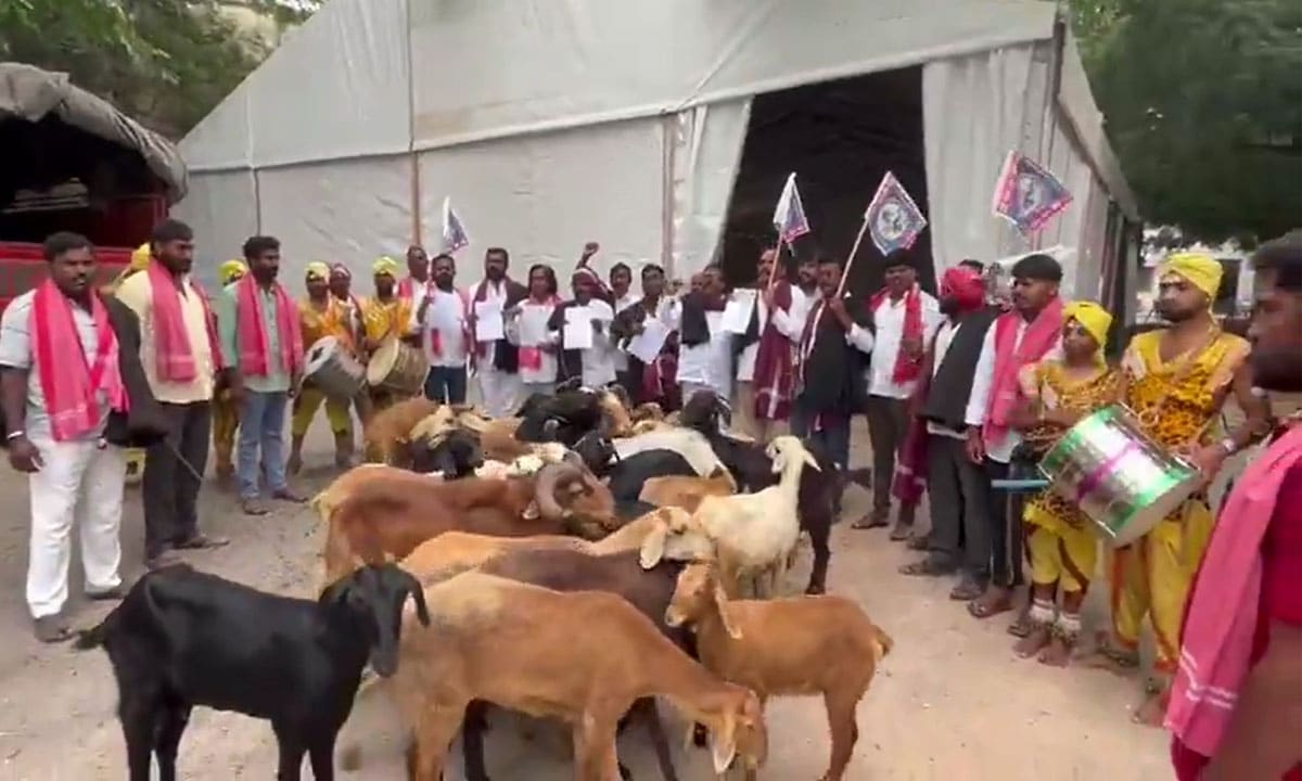 Hyderabad: Tensions at Gandhi Bhavan, Yadava Committee Protests with Goats, Seeks Cabinet Posts