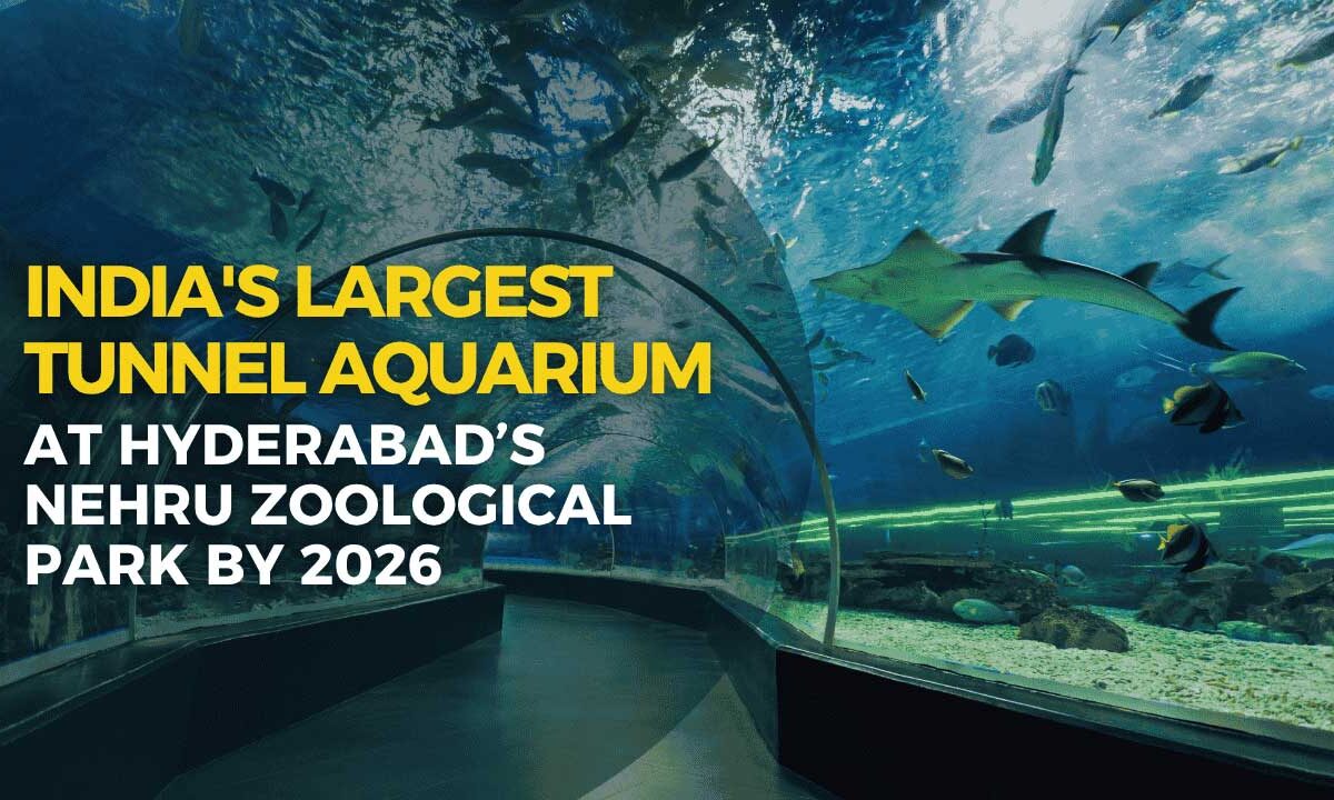 Hyderabad Nehru Zoological Park to House India's Largest Tunnel Aquarium by 2026 1 The city of Hyderabad is poised to make a significant splash in national tourism with the development of India's largest tunnel-style aquarium.