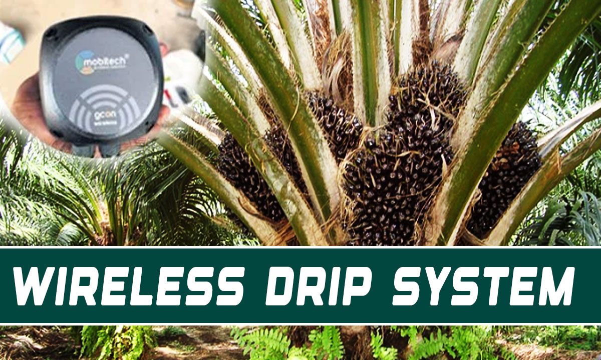 Telangana Farmer Controls Oil Palm Farm Remotely as India’s First Wireless Drip System Goes Live 1 Telangana Farmer Controls Oil Palm Farm Remotely as India’s First Wireless Drip System Goes Live