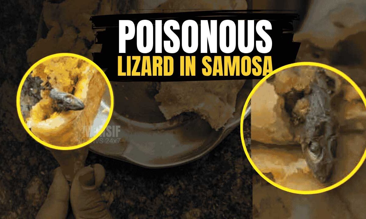 Dead Lizard Found in Samosa: Telangana Girl Critical, Shop Owner Flees 1 The contaminated samosa containing a lizard, which caused critical illness in a Telangana girl. Text overlay reads "POISONOUS LIZARD IN SAMOSA".