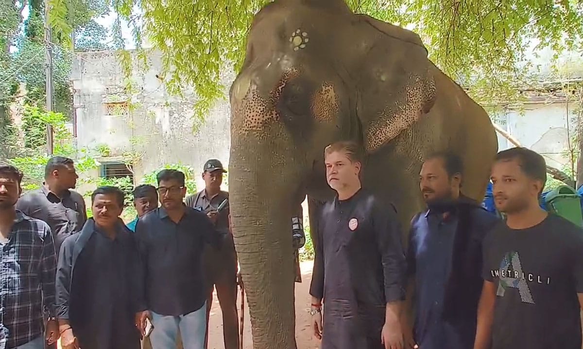 Muharram: Lakshmi Elephant Arrives Safely in Hyderabad Ahead of Bibi Ka Alam Procession