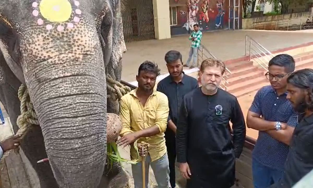Hyderabad: Elephant for Yaum-e-Aashura Procession Leaves from Karnataka, Public Relieved