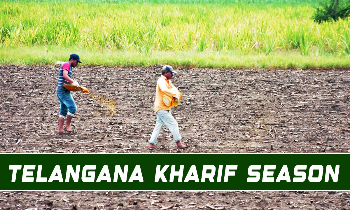 Telangana Kharif Season in Crisis Due to Poor Rainfall and Water Shortage 1 Telangana Kharif Season in Crisis Due to Poor Rainfall and Water Shortage