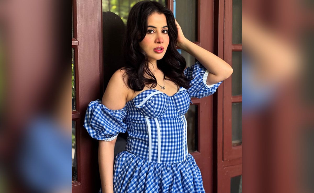 Uorfi Javed shuts down trolls, reveals her face without lip fillers or swelling