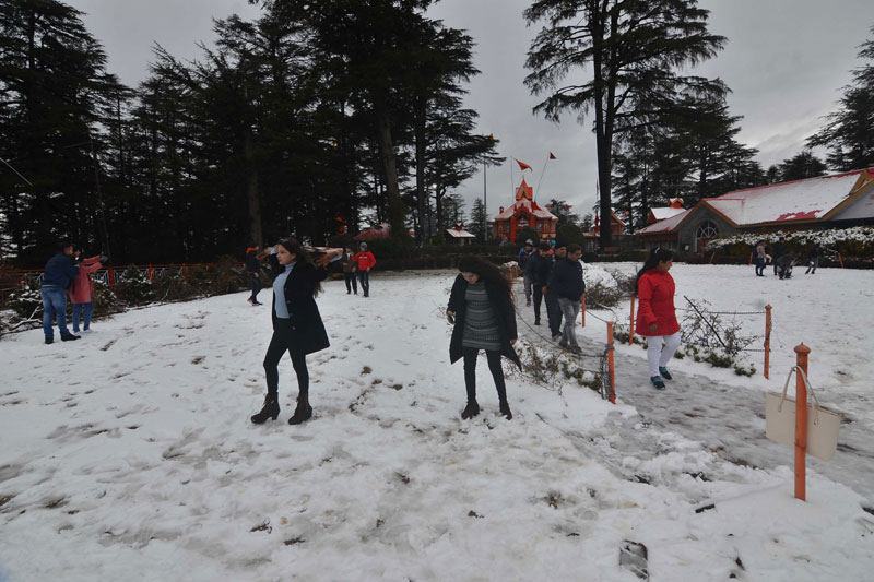SHIMLA SNOWFALL 4 1 Shimla Gets Season's First Snowfall, Cheers Tourists
