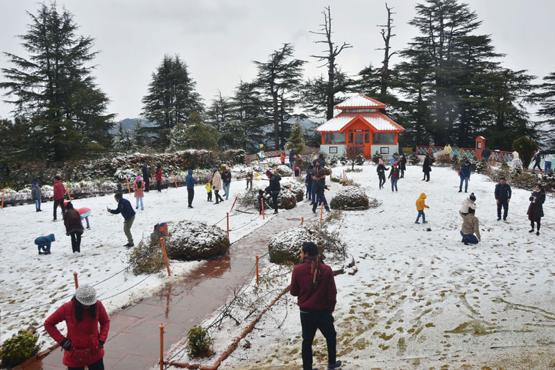 SHIMLA SNOWFALL 5 1 Shimla Gets Season's First Snowfall, Cheers Tourists