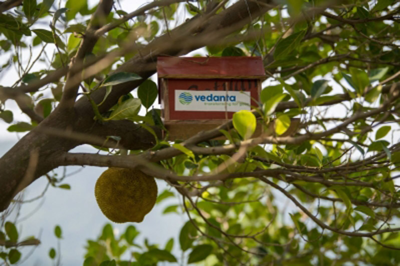 Vedanta Alu Vedanta Aluminium bolsters efforts towards conserving biodiversity