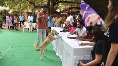 Blue Cross of Hyderabad hosts the second edition of the #LoveMyIndie Dog Show with Mars Petcare