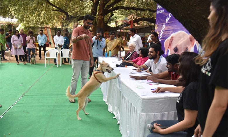 Blue Cross of Hyderabad hosts the second edition of the #LoveMyIndie Dog Show with Mars Petcare