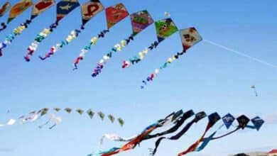 International Kite and Sweet Festival begins at Parade Grounds