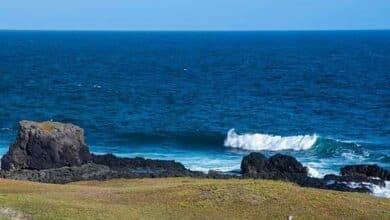 Four Indian Nationals Lose Lives in Beach Tragedy in Australia