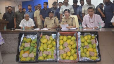 Gang ripening fruits by artificial process in city busted