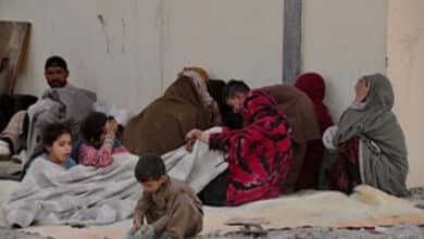 16 mn Afghans to experience crisis and emergency levels of food insecurity: UN report