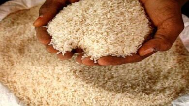 Russia warns Pakistan of banning rice imports over phytosanitary concerns