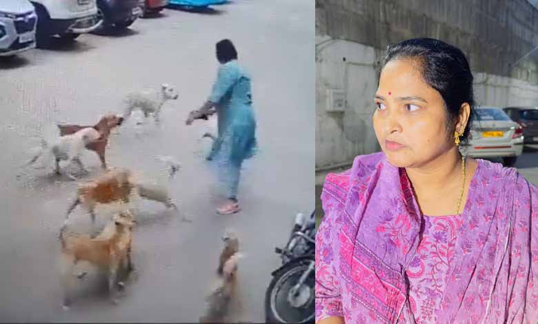 Woman Attacked by 15 Stray Dogs in Hyderabad's Manikonda Area: Video