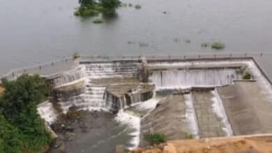 Telangana govt asks NDSA to show way forward on Kaleshwaram project