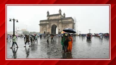 Maharashtra News | CM Eknath Shinde Seeks Army and Navy Assistance After Heavy Rains Lash Mumbai and Raigad