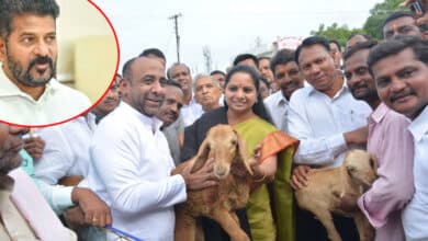 Telangana News | CM Revanth alleges Rs 700 Cr Corruption in Sheep Distribution Scheme during BRS Regime