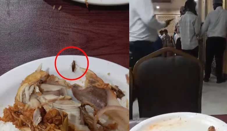 Hyderabad News | Cockroach Found in Biryani at Meridian Hotel, Raises Concerns Over Hygiene: Video