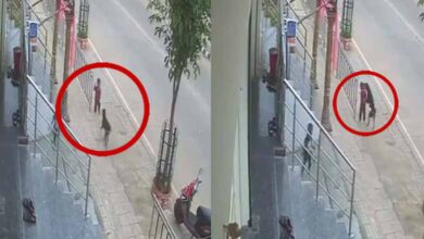 Telangana News | CCTV Footage: Stray Dog Attacks 18-Month-Old Child