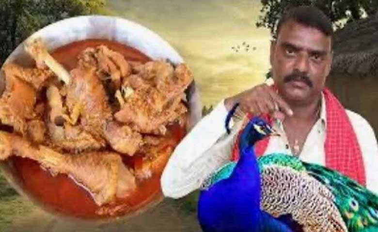 YouTuber in Telangana booked for making video featuring 'peacock curry' recipe