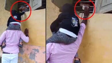 Telangana News | Hostel Staff Deny Entry, Brother Climbs Father's Shoulders to Tie Rakhi: Video