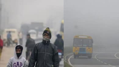 Thunderstorm with lightning and gusty winds likely in Telangana in next 24 hrs