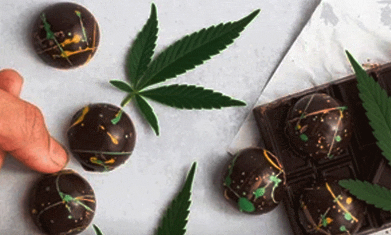 Hyderabad Police Break Ganja Chocolate Supply Chain, Issue Warnings to Manufacturers