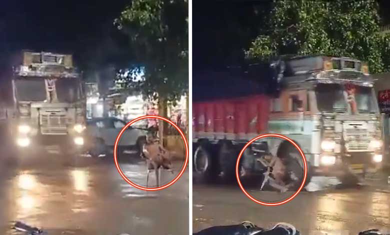 Truck Collides with Man Seated in the Middle of the Road in Uttar Pradesh's Pratapgarh: Video