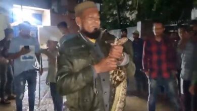 Hyderabad: 6-Foot Python Captured Near Mir Alam Tank