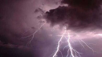 Lightning strikes claimed 1,625 lives in Odisha in last five years: Minister