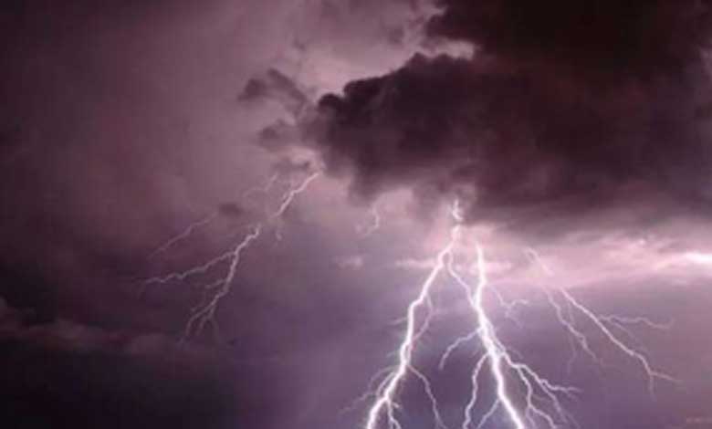 Lightning strikes claimed 1,625 lives in Odisha in last five years: Minister