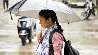 Rain Forecast for 4 Days in Telangana, Yellow Alert Issued