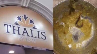 Taj Mahal Hotel Under Fire After Rat Discovered in Dal Curry