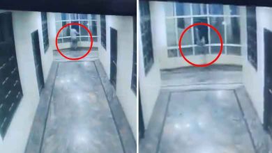 Youth jump off 3rd floor of Hyderabad hotel to escape dog, dies