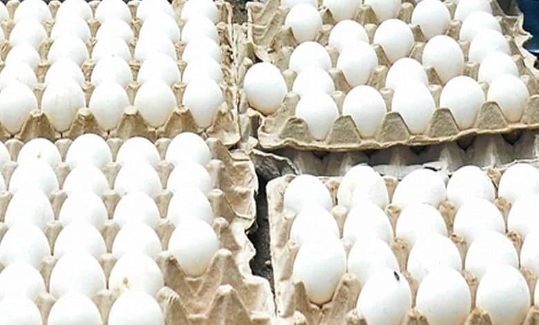 Bangladesh slashes egg import duties, from 25 to 5 percent