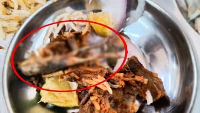 Frog Found in Biryani at IIIT Hyderabad’s Kadamba Mess, Students Demand Action