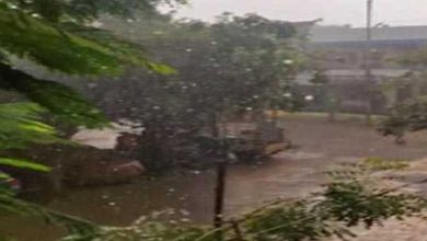 IMD issues yellow alert for seven districts in Kerala