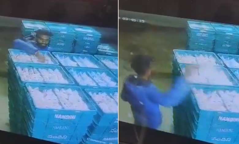 Telangana News | Milk Thief Caught on CCTV