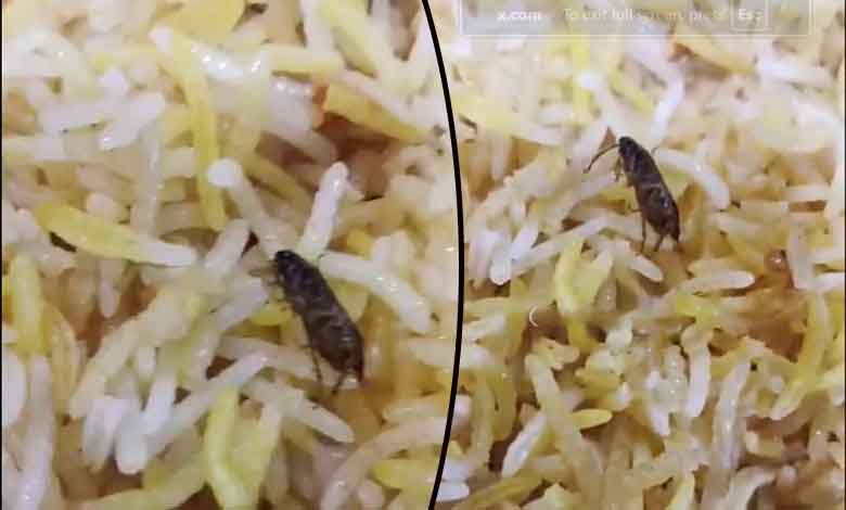 Cockroach Found in Biryani: Banjara Hills Restaurant Faces Customer Outrage