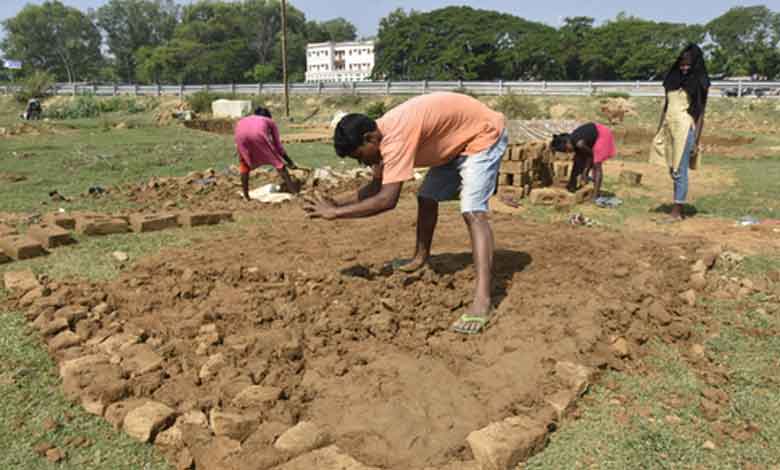 Govt e-marketplace launches 170 seed categories to speed up supply to farmers