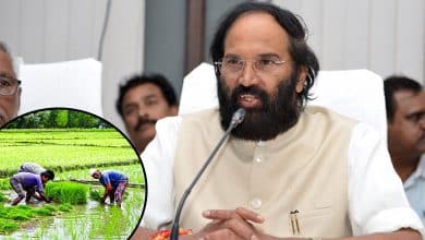 Telangana: Uttam Kumar Announces Rs 500 Bonus for Grade-A Paddy Farmers